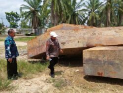 Asra: Akibat Transportasi Getek Rusak Harga TBS Kelapa Sawit Rakyat Turun Hingga Rp. 150 Per Kg