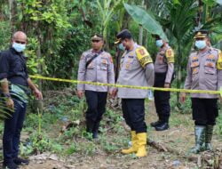 Tinjau TKP Kematian Seekor Gajah di Gampong Panten Limeng, Bandar Baru
