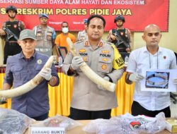 Konferensi Pers Polres Pijay: Ungkap Kasus Kematian Gajah dan Pelanggaran Konservasi Lingkungan