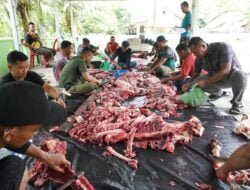 Danrem 012/TU Serahkan 3 Ekor Sapi Untuk Tradisi Meugang