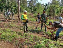 Program Unggulan Kasad, Satgas TMMD ke-119 Kodim 0102/Pidie Tanam 300 Bibit Pohon Di Kebun Warga