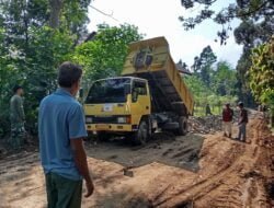Kerahkan Dum Truk Angkut Material Pengerasan Jalan Pertanian
