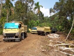 Armada Angkut Material Pengerasan Jalan TMMD ke-119 Kodim 0102/Pidie Dikerahkan Penuh