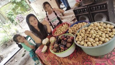 Pengucapan buah yang di laksanakan di desa batu,”ini kata ketua DPD minut Gedeon Lilah”