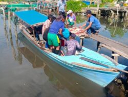 Nelayan Tewas Diterkam Buaya Saat Mencari Teripang di Aceh Singkil