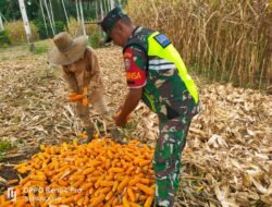Serka Indra Babinsa Koramil 08 Mendamping Warga Melakukan Swasembada Pangan