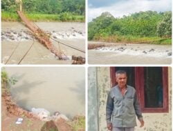 Jembatan Gantung di Riseh Teungoh Ambruk Akibat Cuaca Ekstrem
