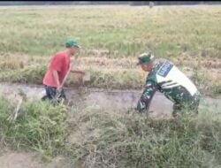 Bersama warga, Serda M Syahda Membersihkan Irigasi Persawahan