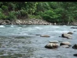 Dibawa Guru Refreshing ke Sungai, Dua Murid SD Nyaris Tenggelam