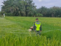 Serda Bendi: Kegiatan Ini Dilaksanakan Untuk Memantau Hasil Petani Yang Sudah Bekerja Dengan Maksimal