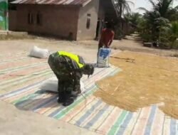 Untuk Menstabilkan Bahan Pokok Serda Sri Wahyudi Membantu Petani Menjemur Padi