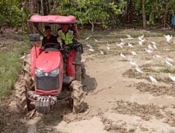 Mensukseskan Program Pemerintah Babinsa Koramil 02, Bantu Petani Bajak Sawah