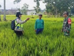 Polres Malang Imbau Petani Hindari Penggunaan Jebakan Tikus Beraliran Listrik