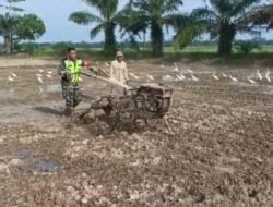 Guna Mendukung Program Ketahanan Pangan Nasional Serda Muhammad Sueko Melakukan Pendampingan