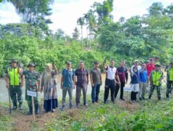 Cegah Bencana Alam, Koramil 12/Sakti Gelar Penanaman Pohon di Kecamatan Sakti