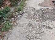 Miris Jalan Paya Reje Rusak Parah Warga Harapkan Ada Perbaikan