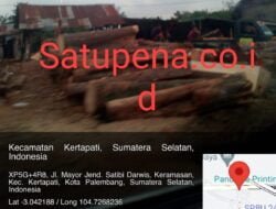 Marak Panglong Pengolahan Kayu, Legalitasnya Patut Dipertanyakan