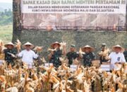 Kasad Panen Raya Jagung dan Singkong di Lahan Ketahanan Pangan Kostrad Ciemas Sukabumi