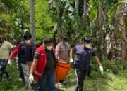 Mayat Laki-Laki Ditemukan di Kebun Kelapa, Diduga Jatuh Dari Pohon Kelapa
