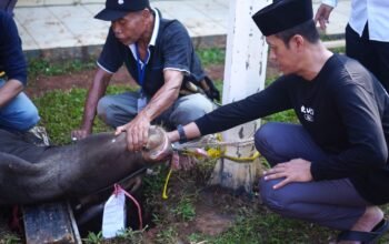 Rayakan Hari Raya Idul Adha 1445 H, Rutan Cipinang Gelar Sholat Idul Adha dan Penyembelihan Hewan Kurban