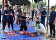 Puluhan Ekor Hewan Kurban di Sembelih di Geulanggang Gampong Bireuen