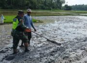 Babinsa Koramil 08/Gandapura Bantu Petani Ratakan Tanah Sawah.