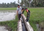 Wujud Kepedulian, Babinsa Koramil 08/Gandapura Bersama Petani Cek Aliran Air Sawah