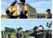 Bersih – Bersih Kota Bireun Kejari Ikuti Aksi Bireunkutn