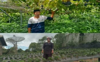 Kampung Kepies, Distinasi Wisata Markisa dan Stroberi 