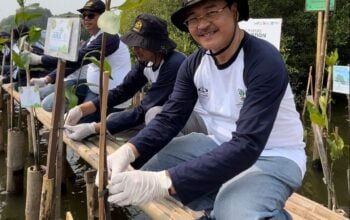STMA Trisakti Ajak Industri Asuransi Tanam 2500 Bibit Pohon Mangrove Dalam Rangka World Nature Conservation Day Dengan Tema “Plant Mangroves, Save The Earth”