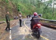 Respon Cepat Personil Polsek Linge dan Masyarakat Bersihkan Badan Jalan Yang Tertimpa Pohon Tumbang.