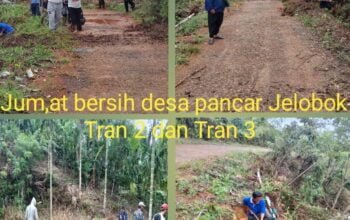 Masyarakat Pancar Jelobok Melaksanakan Gotong Royong Jumat Bersih