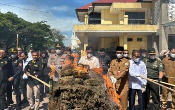 Polda Aceh Musnahkan Barang Bukti Sabu 226 Kg dan Ganja 1,2 Ton