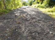 Puluhan Tahun Jalan Kampung Setie Rusak Parah, Pemerintah Diharap Jangan Tutup Mata