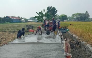 Pemdes Dapurkejambon Bangun JUT dari Dana Desa untuk Permudah Akses Petani