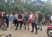 Klarifikasi dan Permintaan Maaf Dari Ormas Adat dan LSM GTI Terkait Eksekusi Lahan di Laikit