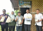 Kajari Bireuen Panen Perdana Budidaya Jamur Tiram Desa Geulanggang Kulam