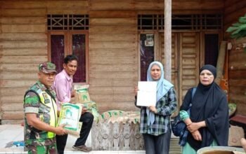 Desa Paya bujuk Teungoh terima bantuan bibit padi dari PJ. Geuchik Gampong Paya Bujok Teungoh: Muhammad Syam, S. Pd. I