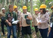 Kembali Sidang Lapangan Gugatan Legal Standing LSM Lingkungan Hidup VS PT Serikat Putra