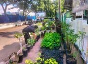 Jaga Kelestarian, Kodim 0103/Aceh Utara Terus Lakukan Pemeliharaan Bibit Tanaman Keras