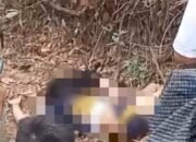 Heboh Jasad Wanita Ditemukan di Area Pemakaman Tionghoa Talang Kerikil Palembang