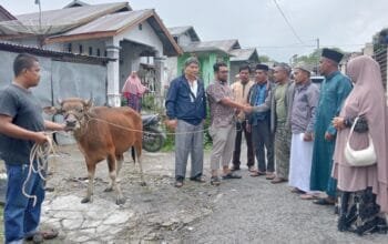 Sarhamija.SE. Ketua DPD Partai NasDem Bener Meriah Serahkan Satu Ekor Sapi Kepada Masyarakat Kampung Jungke