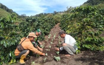 Wujud Kepedulian: Babinsa Dampingi Kelompok Tani dalam Mewujudkan Ketahanan Pangan