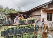 Polres Aceh Tengah Tinjau Lahan Ketahanan Pangan Dukung Program Swasembada Nasional