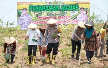 Polres Jombang Laksanakan Swasembada Tanam Jagung di Lahan Kosong