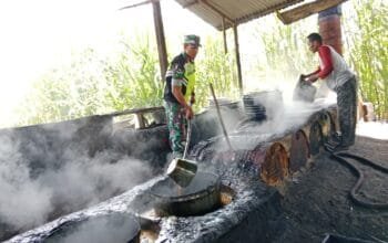 Dukung Ketahanan Pangan, Babinsa Koramil 09 Ketol Ini Bantu Warga Mengolah Tebu