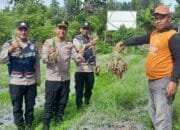 Polsek Bandar Baru Polres Pidie jaya Dorong Kemandirian Pangan 