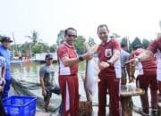Dukung Misi Asta Cita, Polda Sumsel Panen Raya 2,5 Ton Ikan, Hingga Tebar Puluhan Ribu Benih Ikan