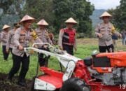 Dukung Asta Cita Presiden RI, Polres Aceh Tengah Buka dan Manfaatkan 20 Hektare Lahan Produktif