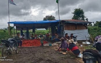 fluktuasi Harga Cabai Tidak Stabil, Serma Saidul Bahri Lakukan Pendampingan Kepada Petani